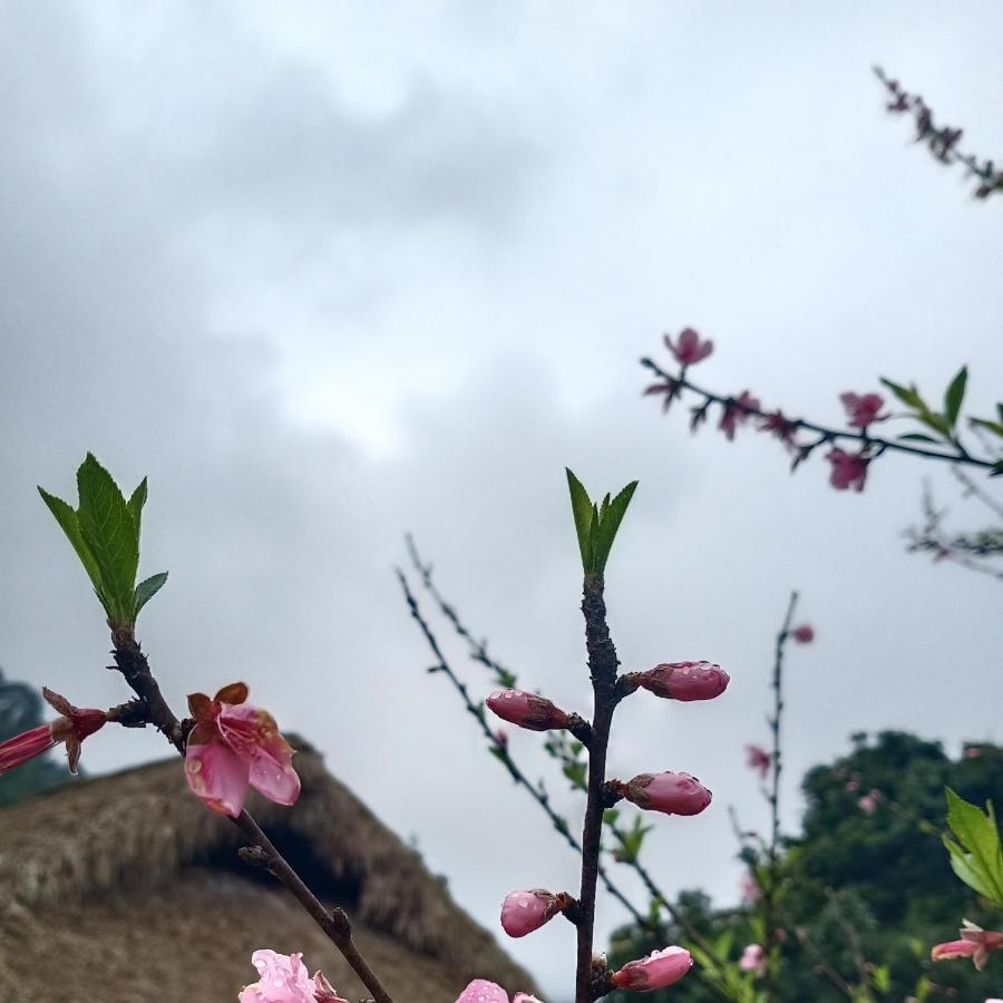 Dao Homestay Hoang Su Phi Luaran gambar