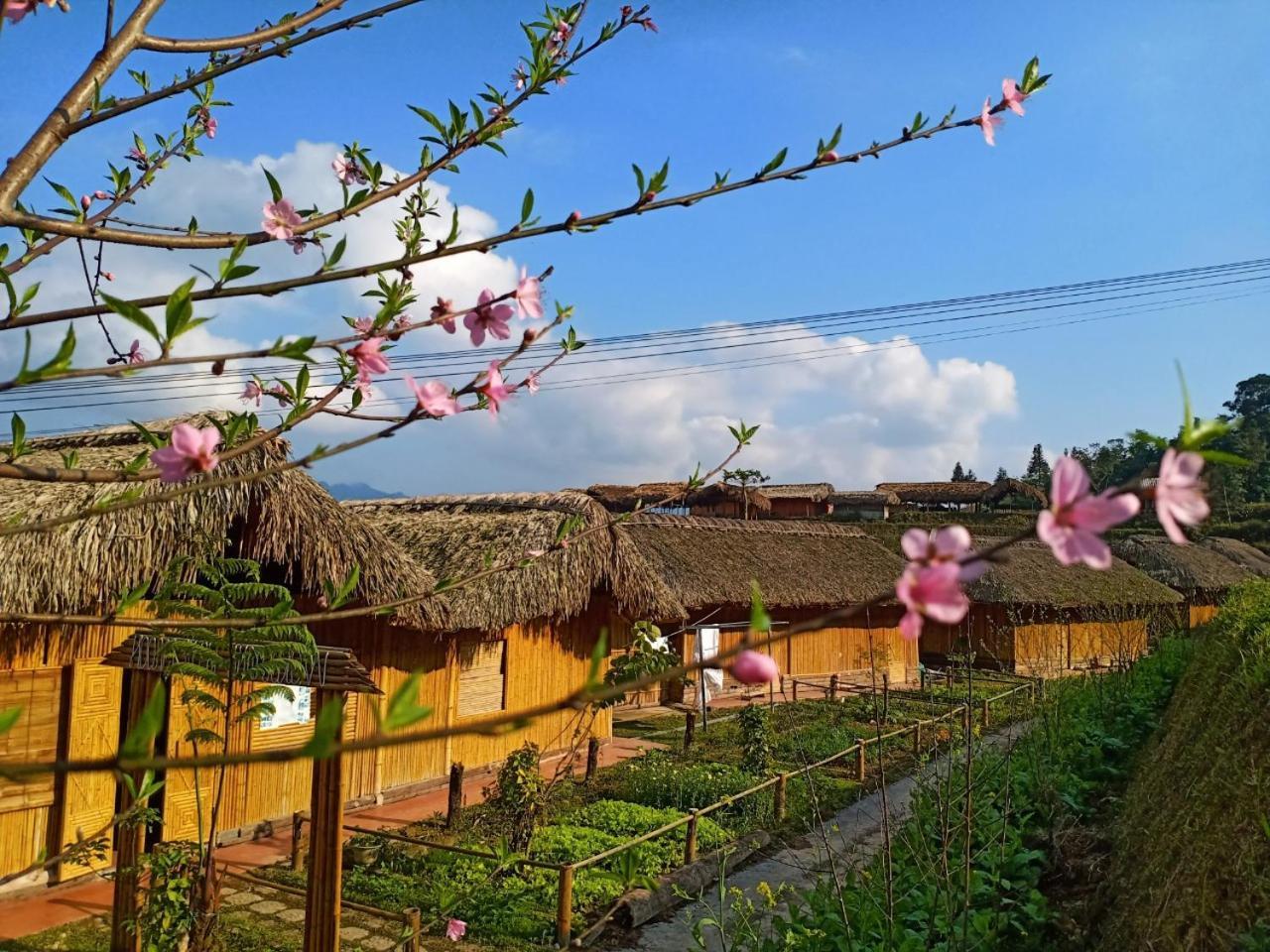 Dao Homestay Hoang Su Phi Luaran gambar