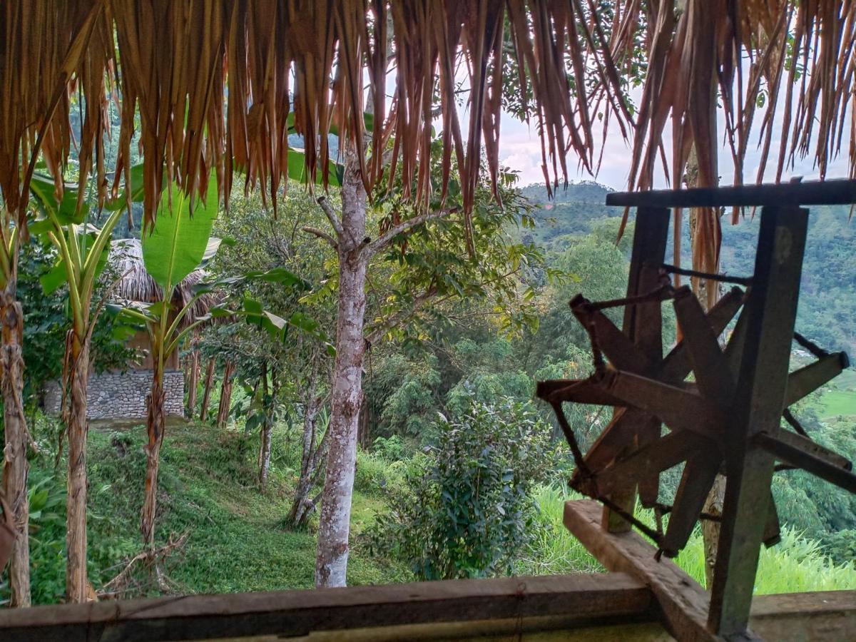 Dao Homestay Hoang Su Phi Luaran gambar