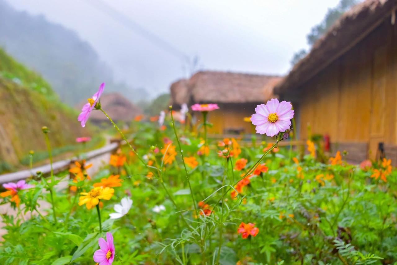 Dao Homestay Hoang Su Phi Luaran gambar